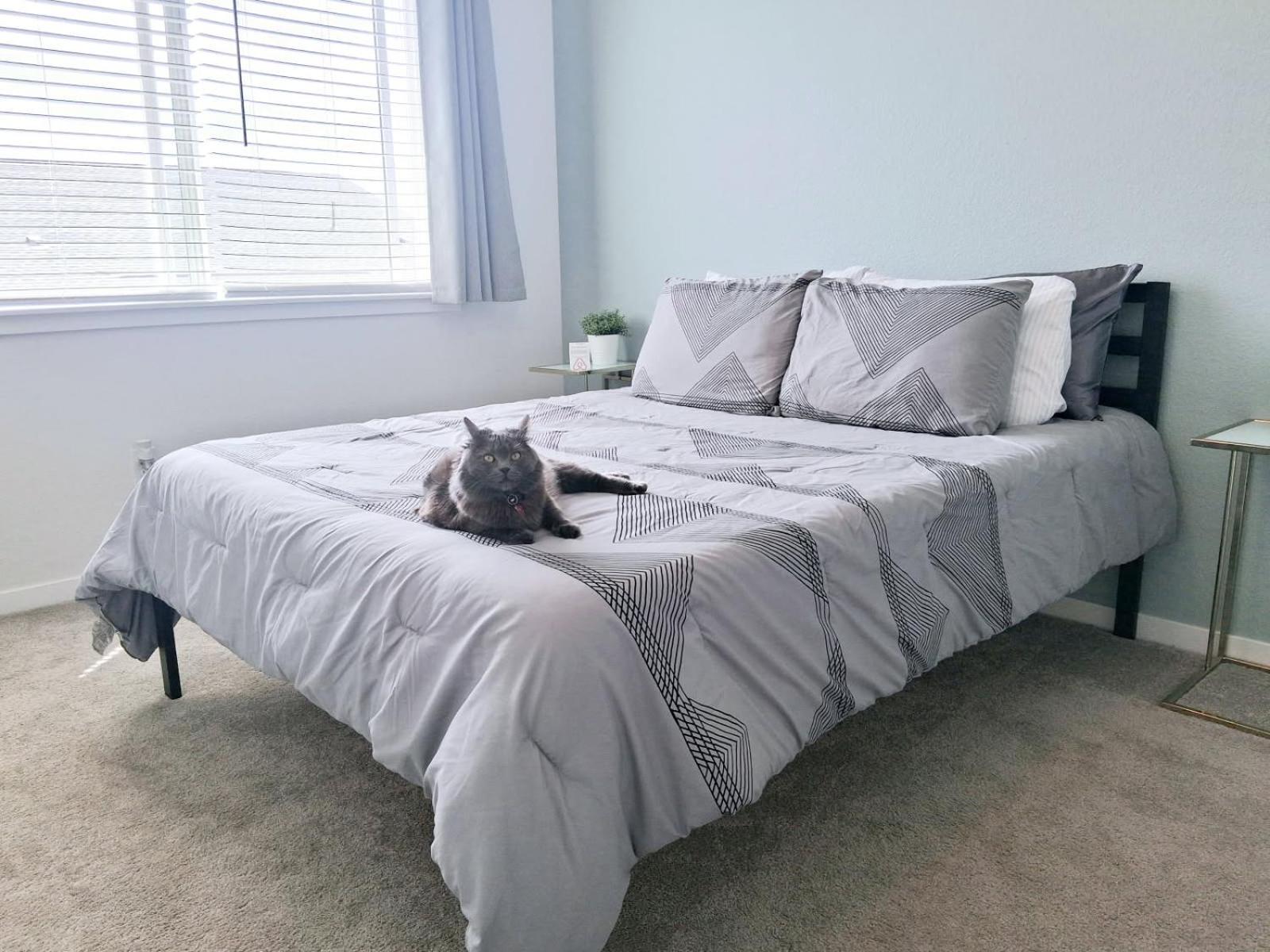 Homestay Peaceful Queen Near Red Rocks Lakewood